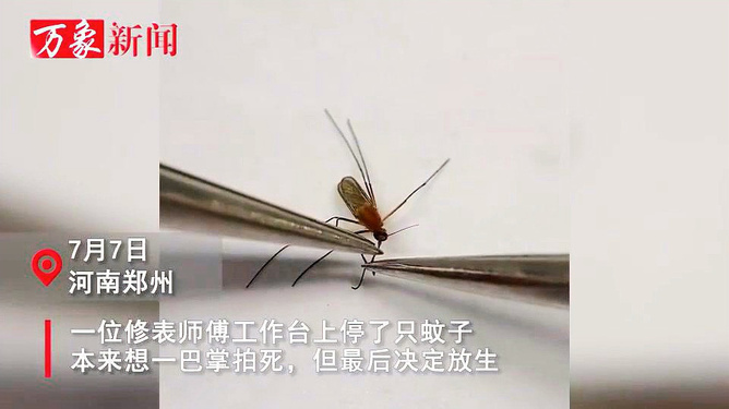 女子肩胛骨灵活到能夹死苍蝇