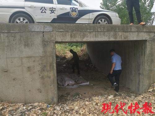 男子失踪7年被找到 正躺桥洞玩手机