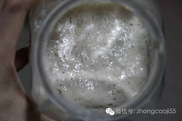 女生晒养了三年酵母