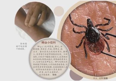 惊心动魄！十余人殒命的铁路段终于开始装防护网，安全能否保障？