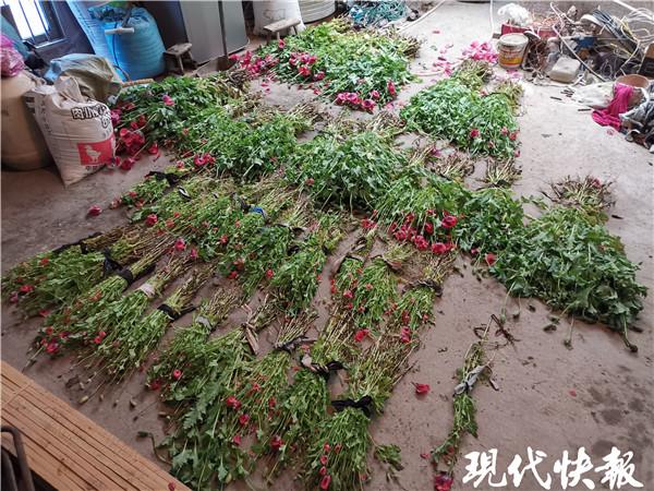 腹泻一年暴瘦至67斤