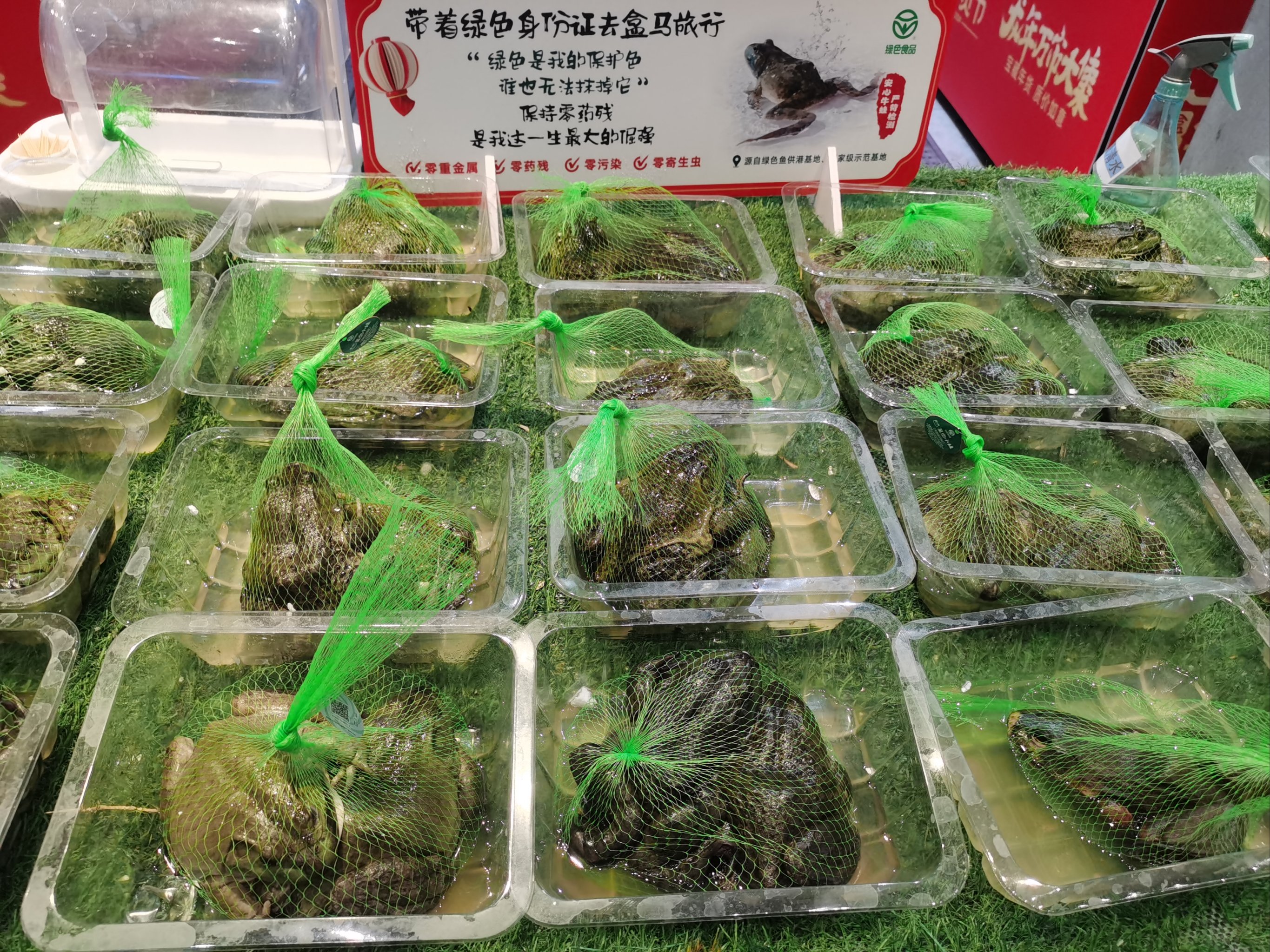 盒马生菜袋有活青蛙