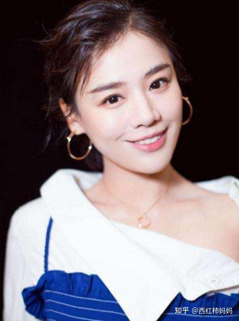胡锡进评女演员天价耳环争议