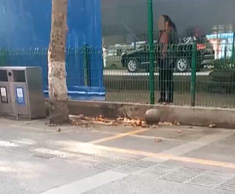 惊！环卫垃圾倒路面积水竟成城市“隐形杀手”？最新解决方案曝光！