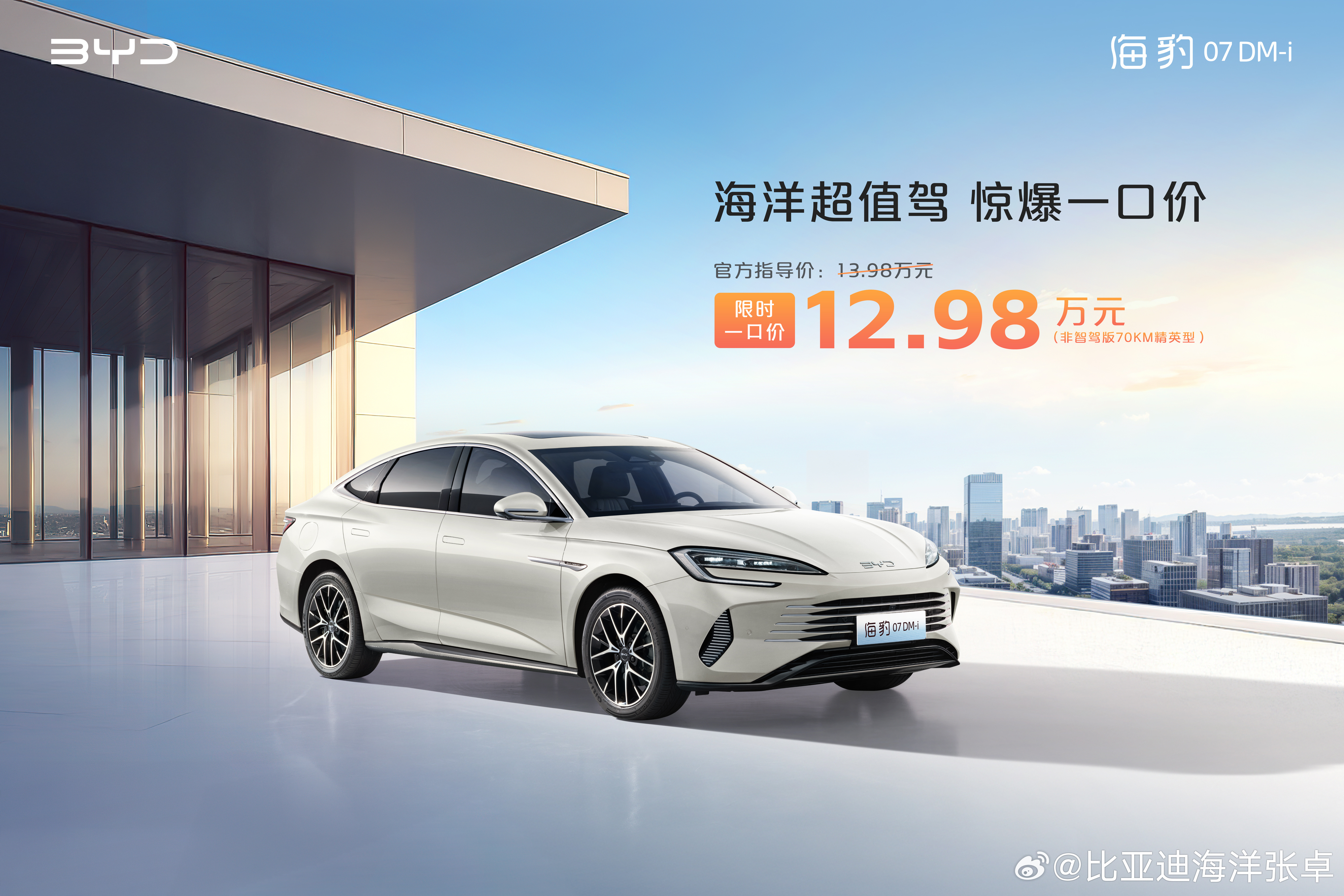 🚗 惊喜来袭！比亚迪海洋网智驾版一口价促销，错过再等一年？