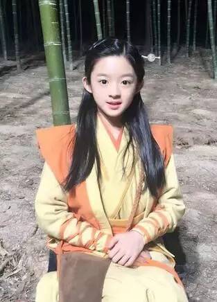 震惊！黄杨钿甜父亲涉7亿项目未招商成功，背后隐藏了什么？