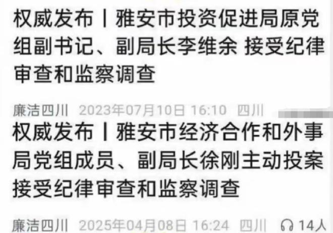震惊！通报为何没提黄杨钿甜耳环真假？背后真相令人深思