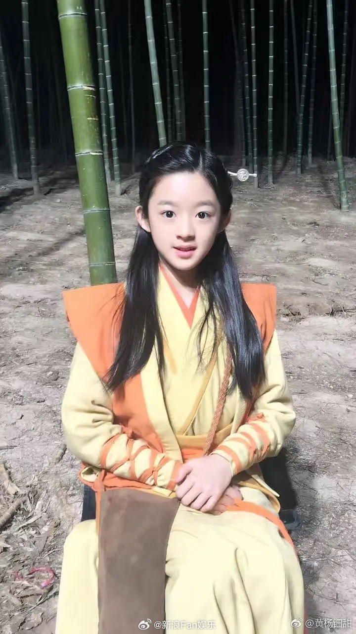 黄杨钿甜父亲经商细节仍需追问背后隐藏了什么不为人知的秘密？